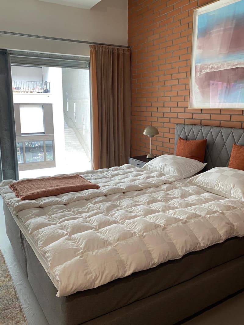 Furnished loft with unique style in a historic building (10)