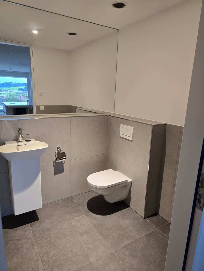 Large 3.5 room apartment in the trendy Papierie area with beautiful views (7)