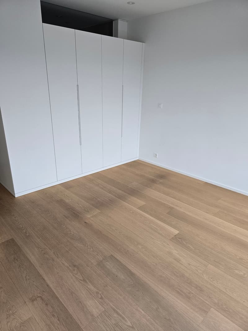 Large 3.5 room apartment in the trendy Papierie area with beautiful views (4)
