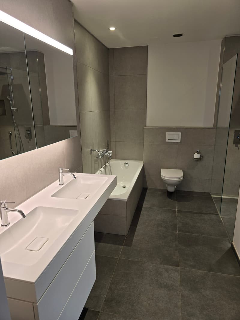 Large 3.5 room apartment in the trendy Papierie area with beautiful views (6)