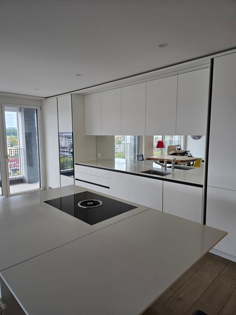 Large 3.5 room apartment in the trendy Papierie area with beautiful views (3)