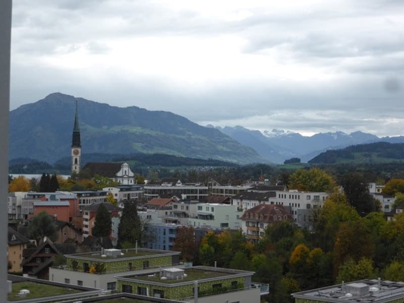 Large 3.5 room apartment in the trendy Papierie area with beautiful views (1)