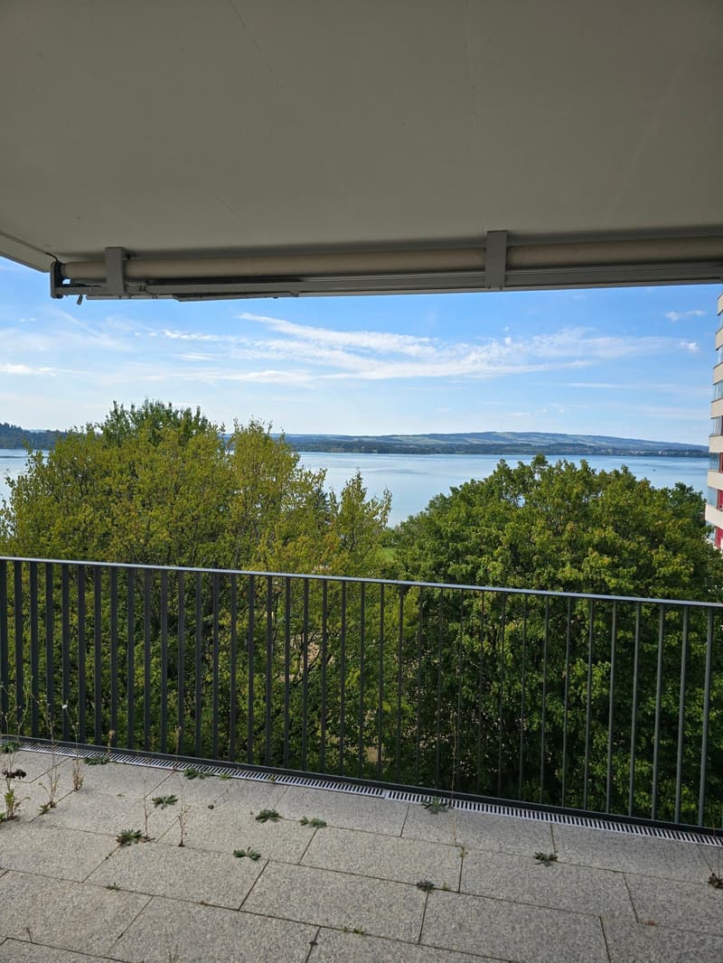 4.5-Zimmerwohnung mit Panoramablick auf See und Berge (4)