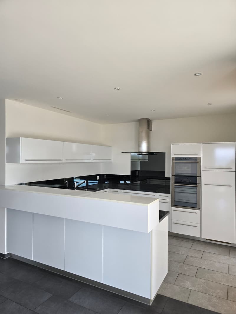 4.5-Zimmerwohnung mit Panoramablick auf See und Berge (8)