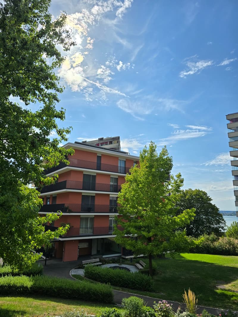 4.5-Zimmerwohnung mit Panoramablick auf See und Berge (2)