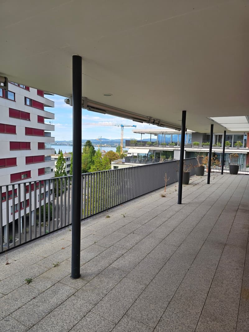 4.5-Zimmerwohnung mit Panoramablick auf See und Berge (5)