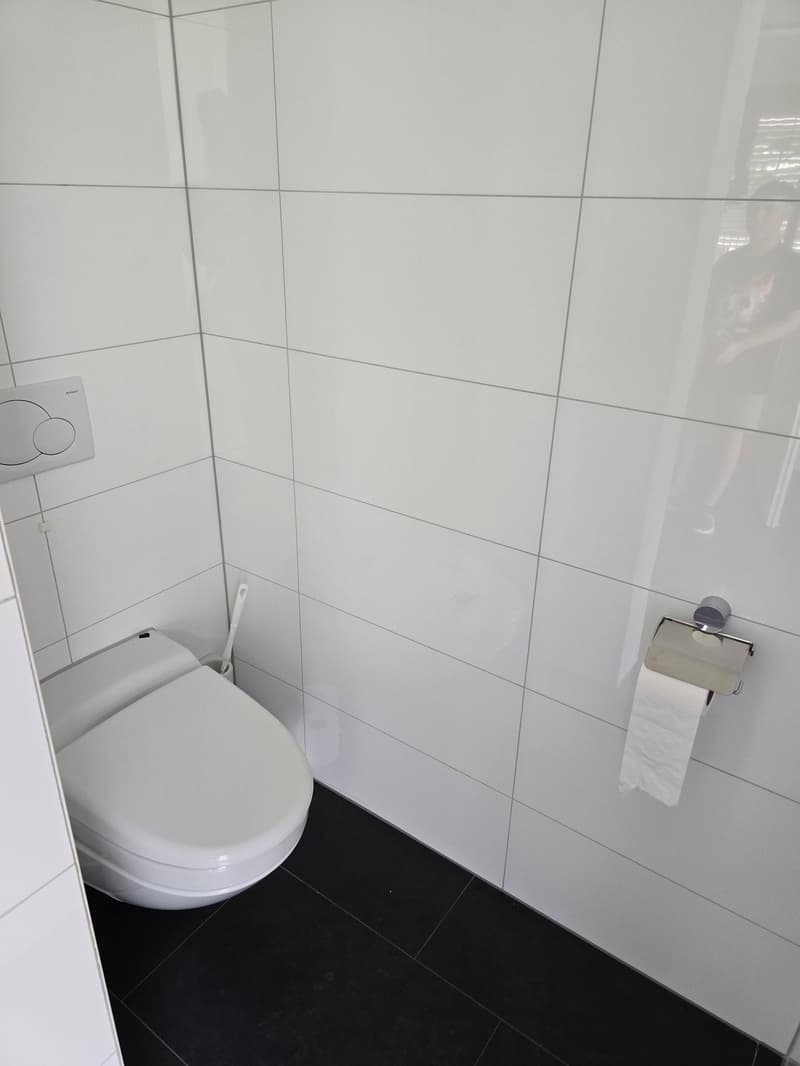 4.5-Zimmerwohnung mit Panoramablick auf See und Berge (17)