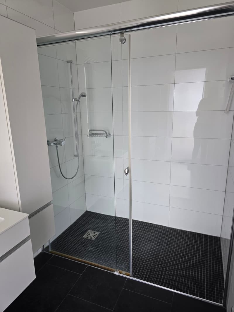4.5-Zimmerwohnung mit Panoramablick auf See und Berge (12)