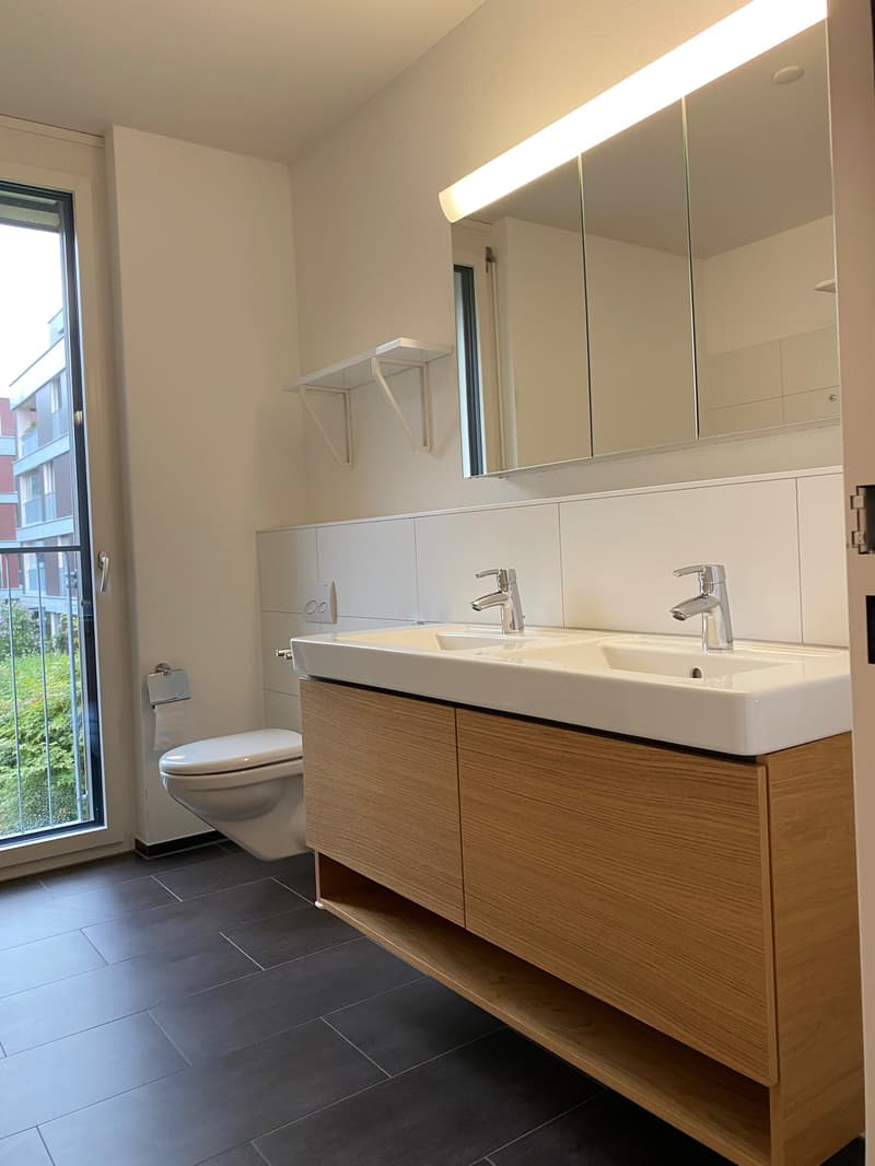 Moderne und grosszügige Wohnung (3)