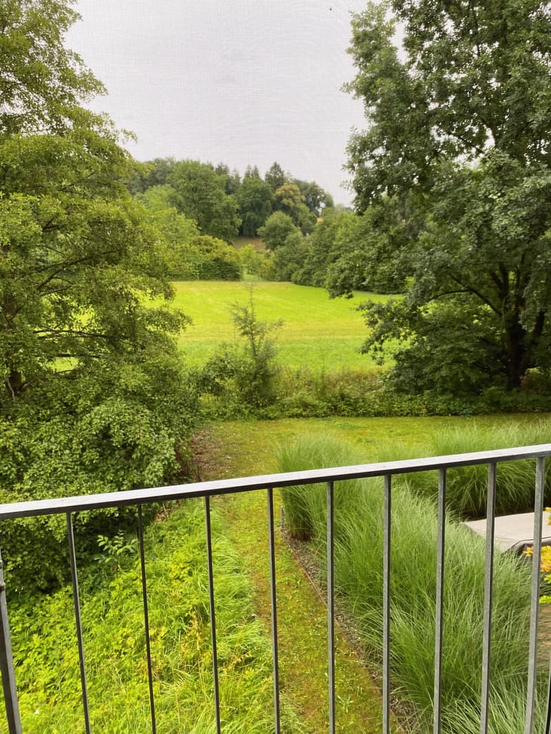 Moderne und grosszügige Wohnung (1)