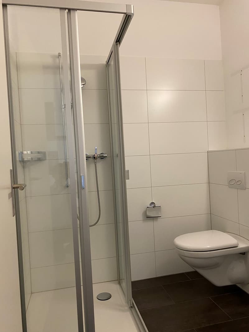 Moderne und grosszügige Wohnung (6)