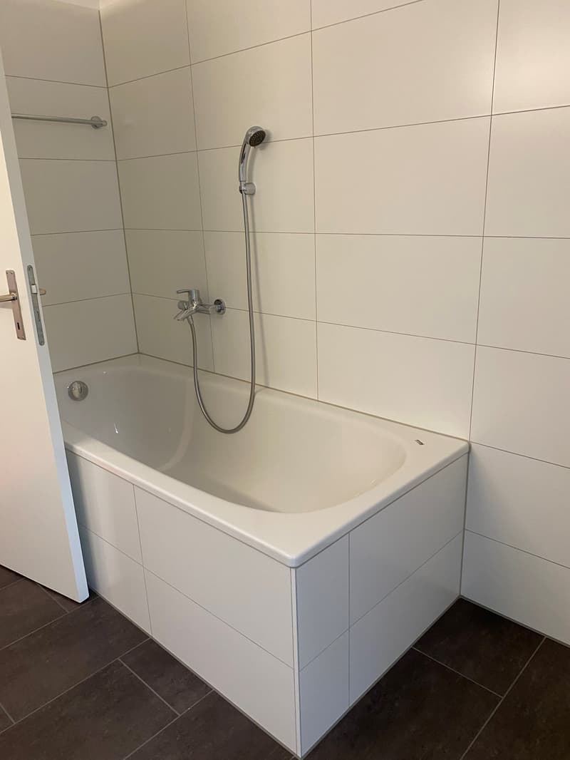 Moderne und grosszügige Wohnung (5)