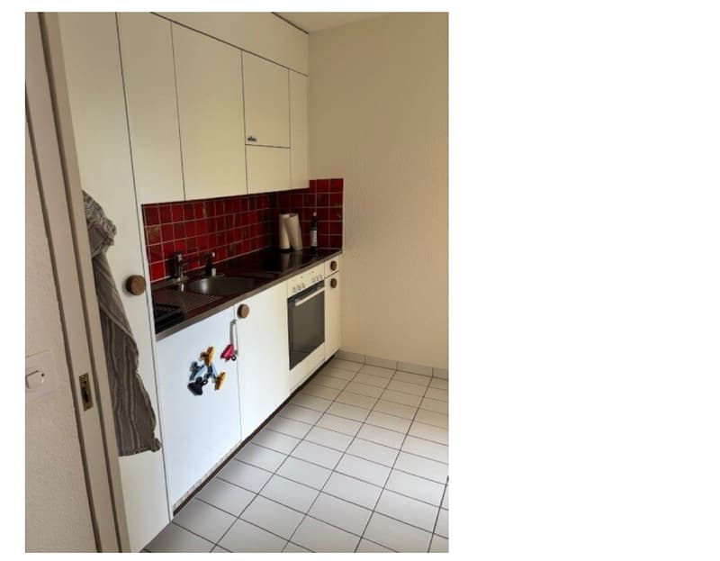 Gemütliche 2.5-Zimmer-Wohnung im Erdgeschoss in Hünenberg (2)