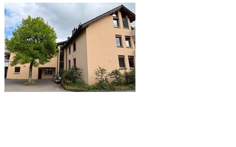 Gemütliche 2.5-Zimmer-Wohnung im Erdgeschoss in Hünenberg (1)