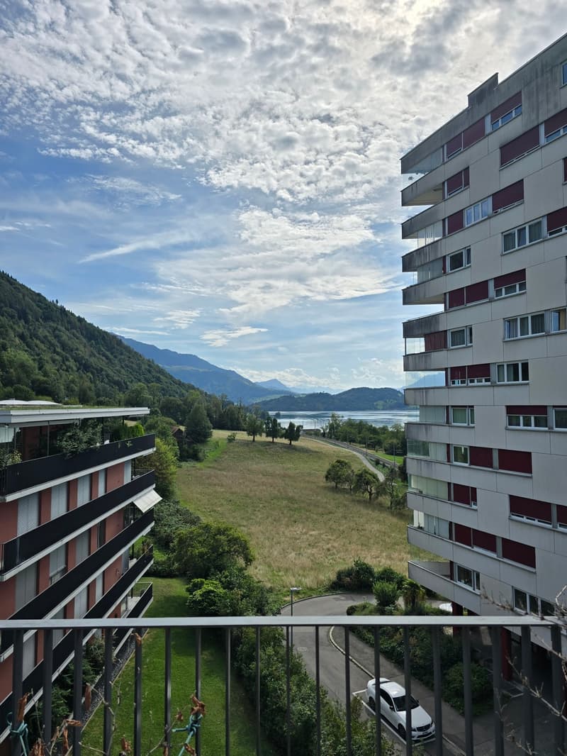 4.5-Zimmerwohnung mit Panoramablick auf See und Berge (4)