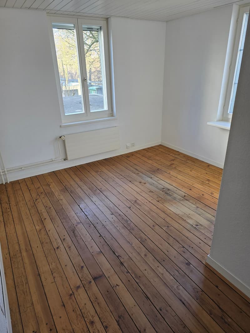 3 Zimmer-Wohung im Herzen von Hagendorn (6)