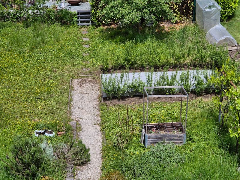 Appartamento di 4 locali con area di giardino soleggiata (20)