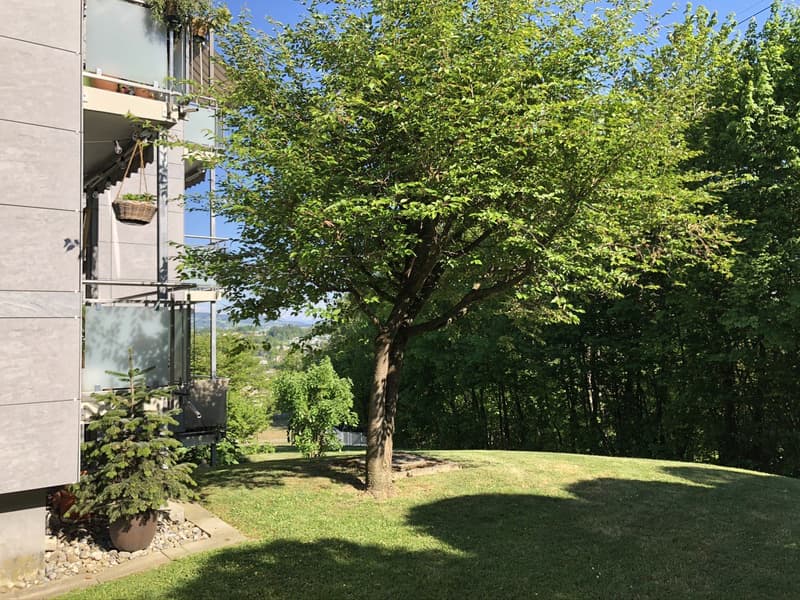 Blick ins Grüne