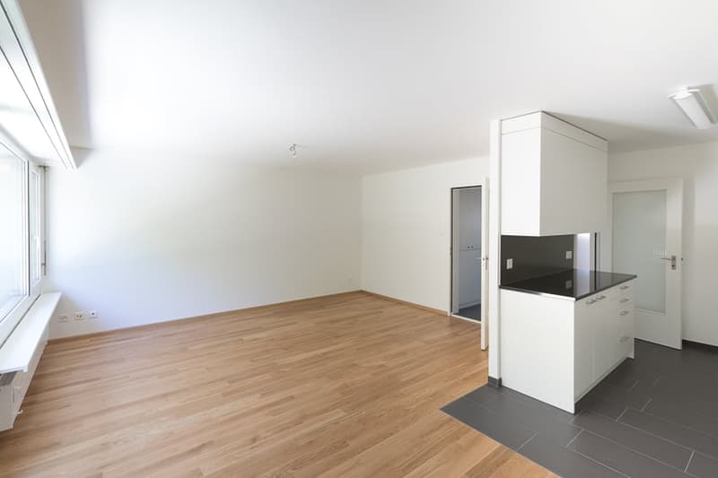 Beautiful 3.5-room apartment on the 2nd floor (1)