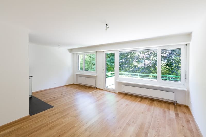 Beautiful 3.5-room apartment on the 2nd floor (4)