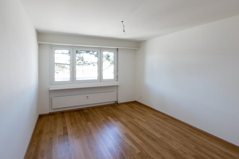 Beautiful 3.5-room apartment on the 2nd floor (5)