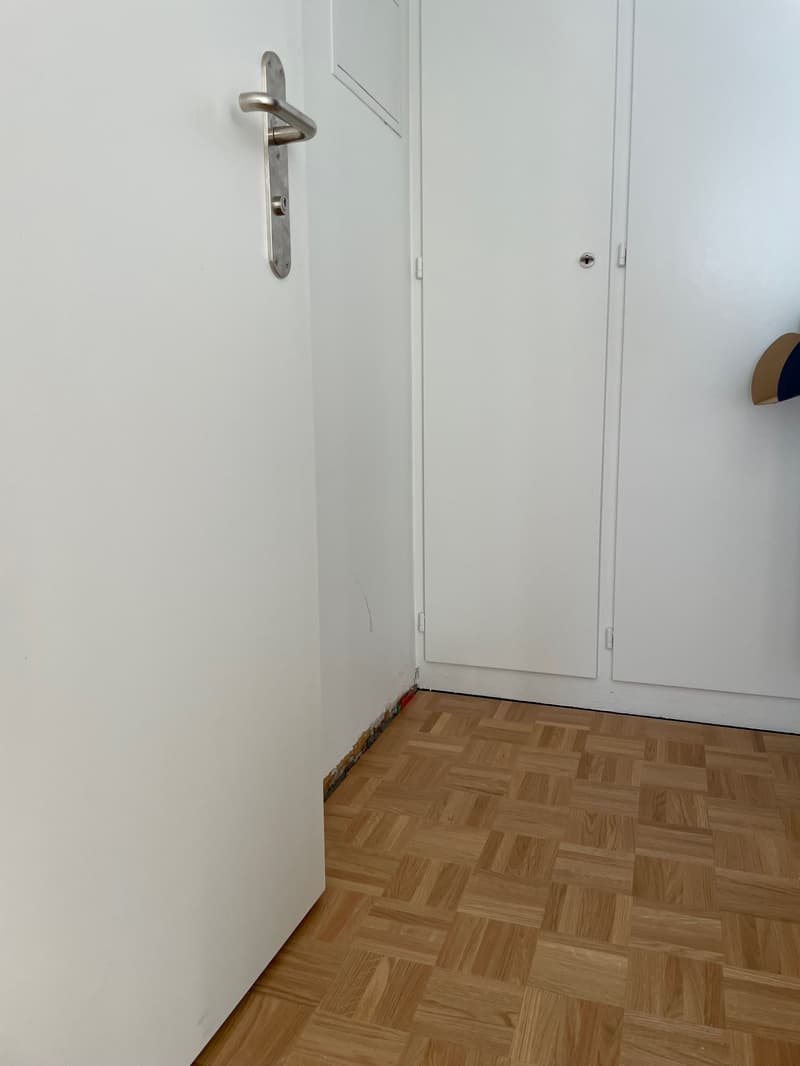 Appartamento accogliente di 2 1/2 locali al 1° piano! (6)