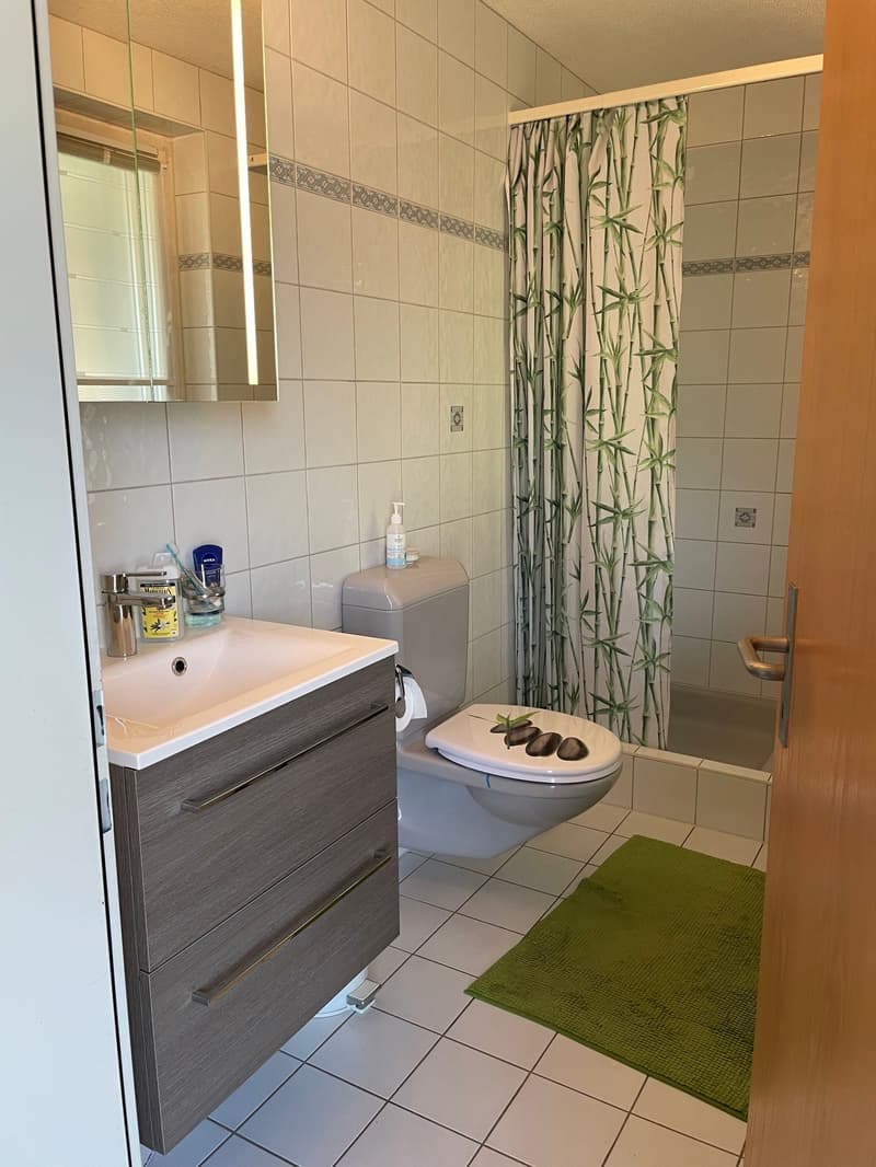 Charmante maison familiale de 6.5 pièces à Lostorf (5)