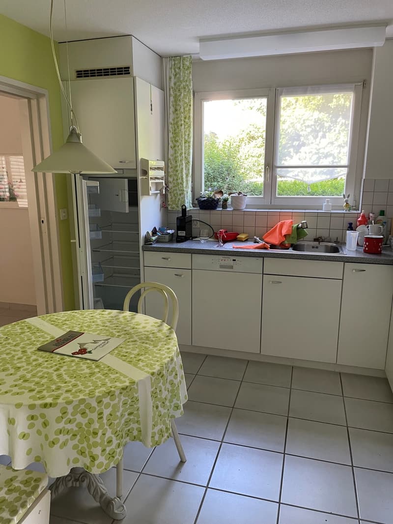 Charmante maison familiale de 6.5 pièces à Lostorf (4)