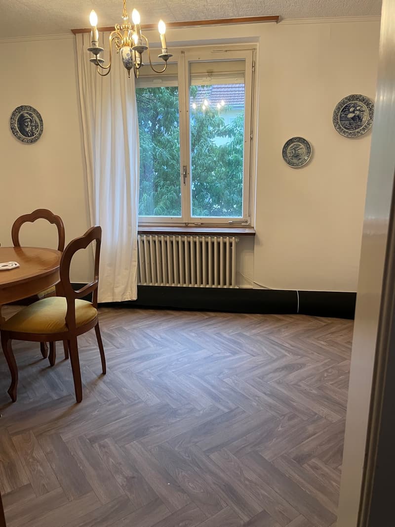 Charming semi-detached single-family house in Olten! (5)