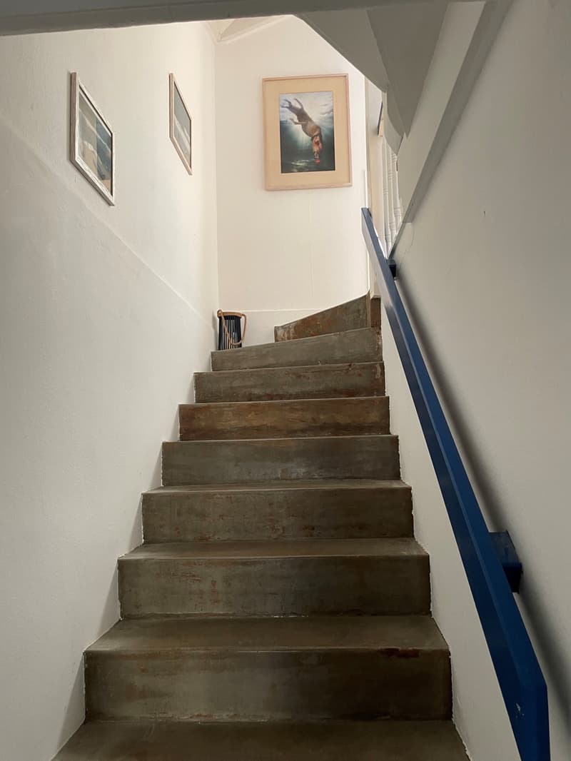 Charmante maison mitoyenne unifamiliale à Olten ! (4)