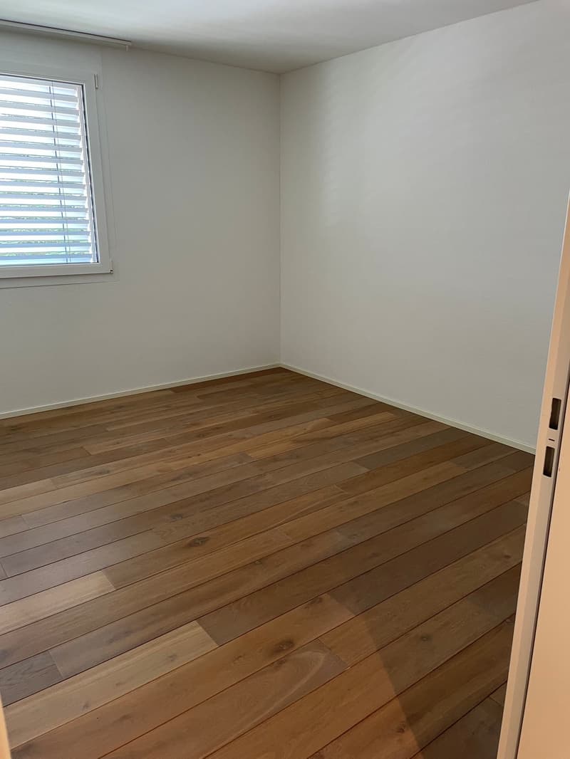 geniale 4.5-Zimmer-Attikawohnung mit grosser Dachterrasse 58 m2! (7)