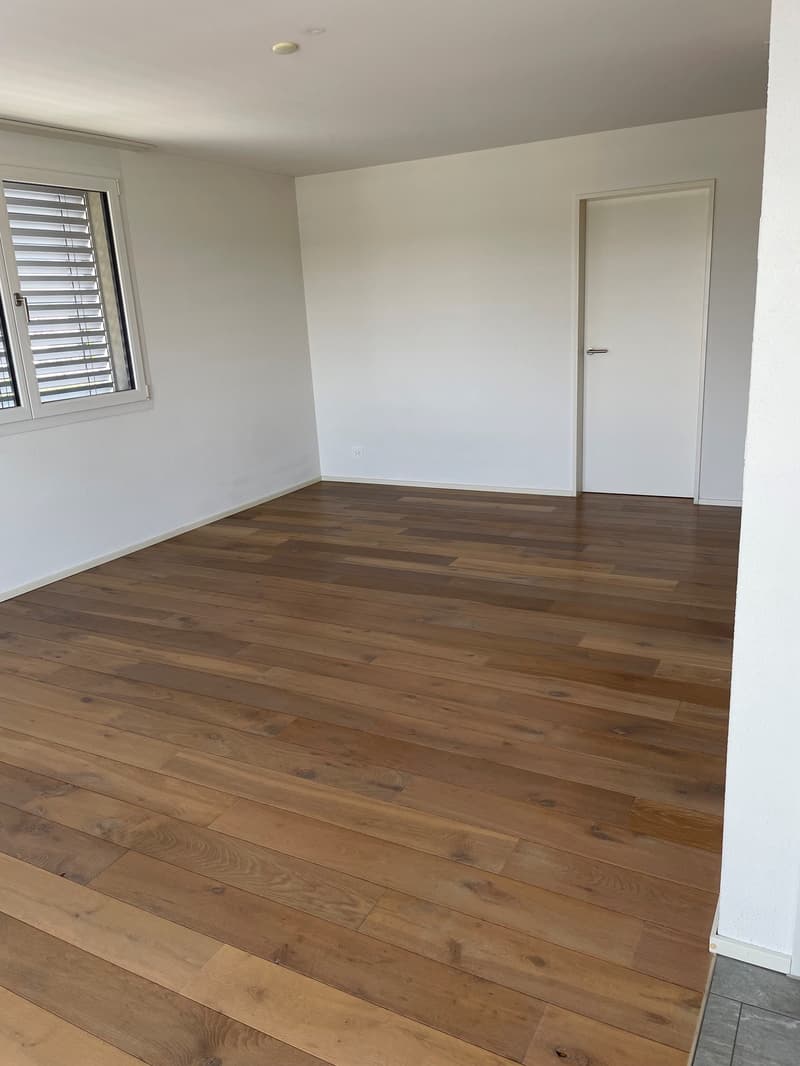 geniale 4.5-Zimmer-Attikawohnung mit grosser Dachterrasse 58 m2! (3)
