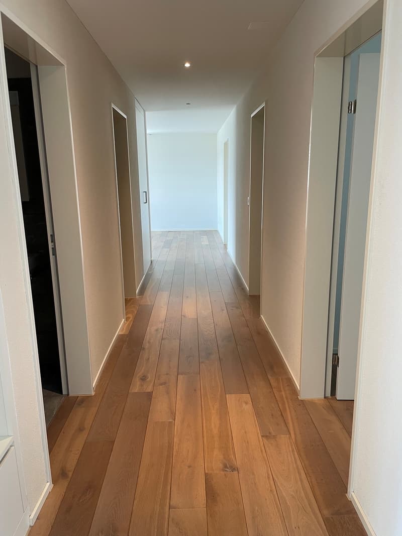geniale 4.5-Zimmer-Attikawohnung mit grosser Dachterrasse 58 m2! (8)