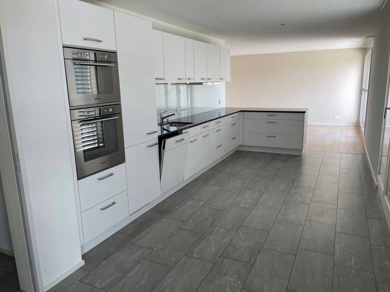 geniale 4.5-Zimmer-Attikawohnung mit grosser Dachterrasse 58 m2! (2)