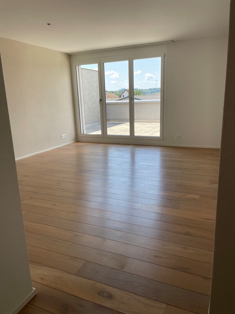 geniale 4.5-Zimmer-Attikawohnung mit grosser Dachterrasse 58 m2! (6)