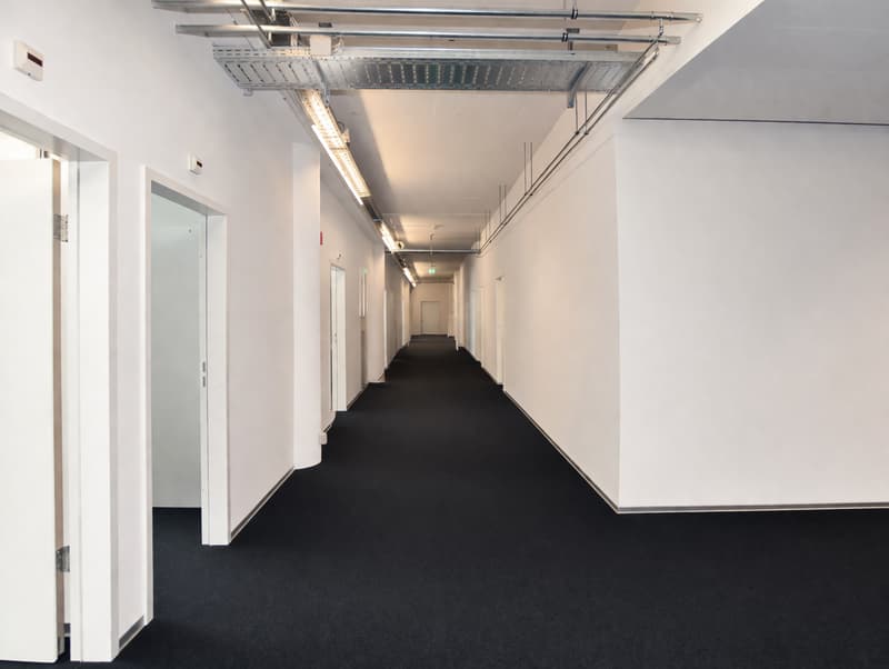 Empty hallway with white walls, black floor, and metal ceiling with lights