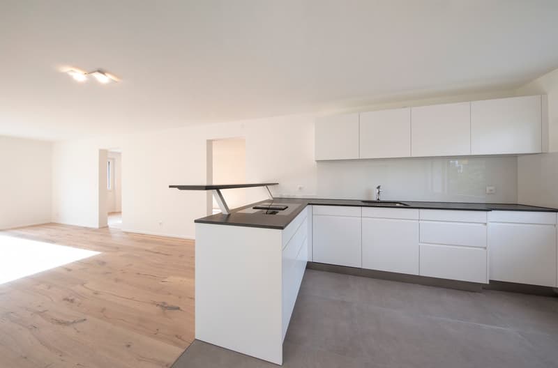 modern kitchen with white cabinets, black countertops, wooden floor, ceiling lights, sink with faucet