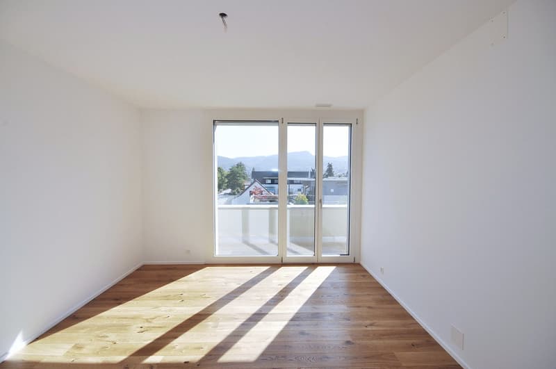 Appartement attique de luxe avec 5 terrasses et une vue de rêve (6)