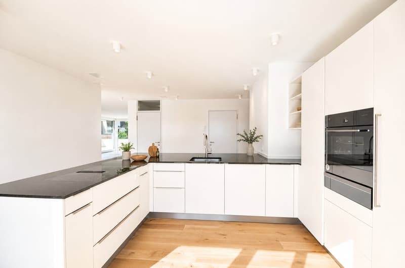 Appartement attique de luxe avec 5 terrasses et une vue de rêve (3)