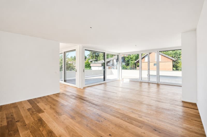 Appartement attique de luxe avec 5 terrasses et une vue de rêve (2)