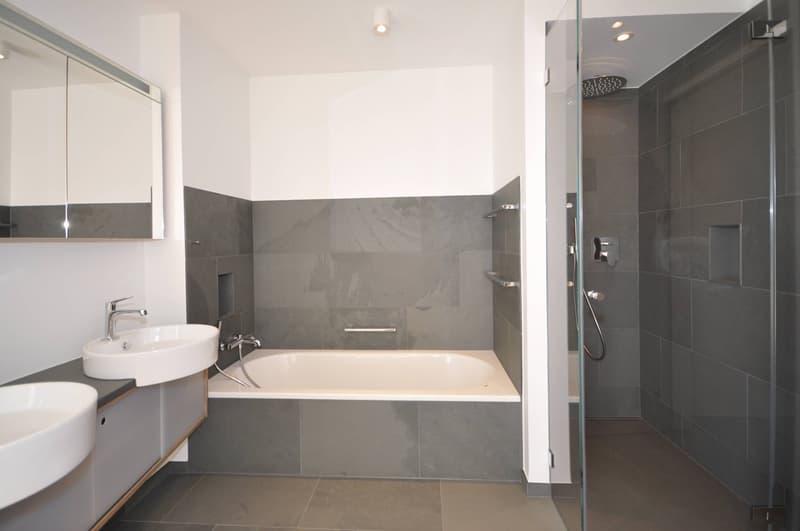 Appartement attique de luxe avec 5 terrasses et une vue de rêve (7)