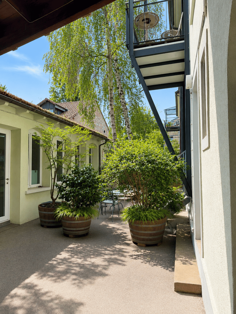 Hinterhof
