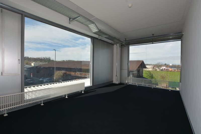 Attractive office space in Allschwil (5)