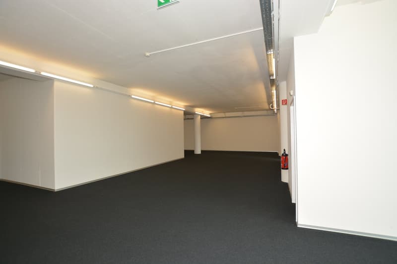 Attractive office space in Allschwil (8)
