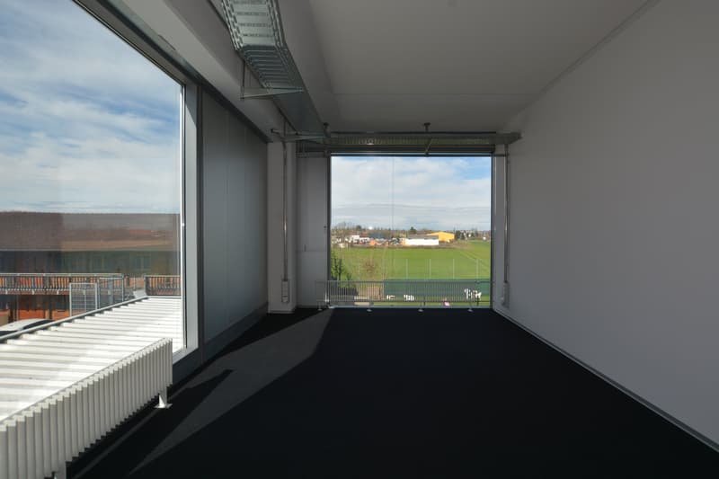 Attractive office space in Allschwil (6)