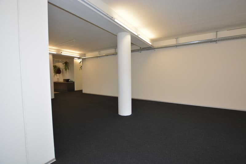 Attractive office space in Allschwil (9)