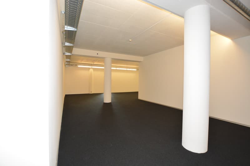 Attractive office space in Allschwil (11)