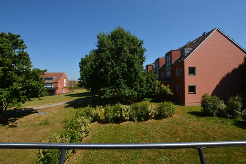 Aussicht ins Grünareal