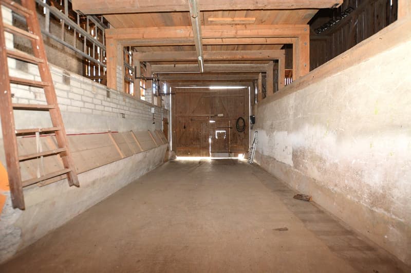 Baulandparzelle 539 m2 mit bestehendem EFH in der Kernzone von Ettingen (10)