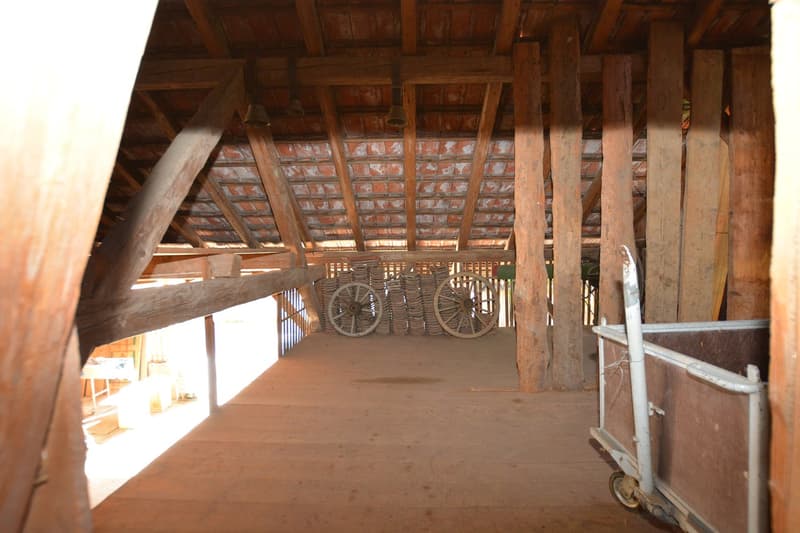 Baulandparzelle 539 m2 mit bestehendem EFH in der Kernzone von Ettingen (13)